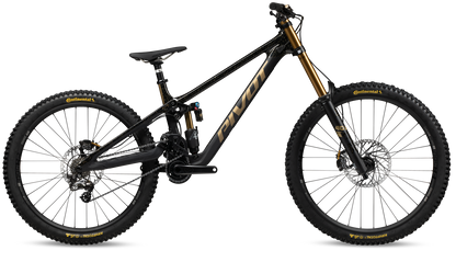 Phoenix - Pivot Cycles NZ