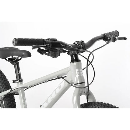 Haro Flightline 20" DS