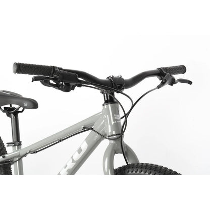 Haro Flightline 24" DS